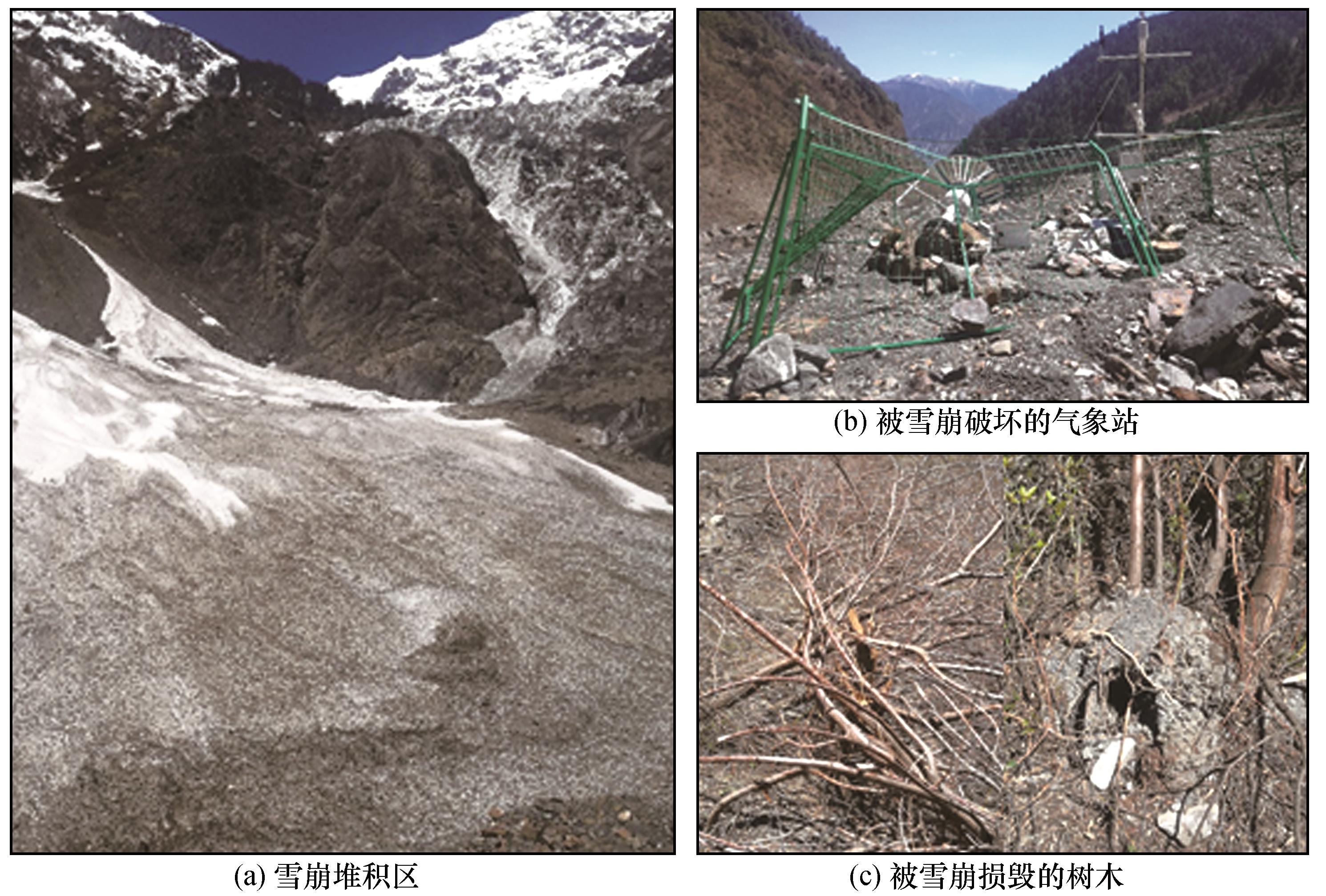 梅里雪山1991年和2019年雪崩事件重建及影响因素分析